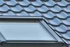 Mount Drydenskylight-replacements.jpg; ?>